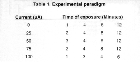 Table 1 Kaali & Lynab 1996 Report